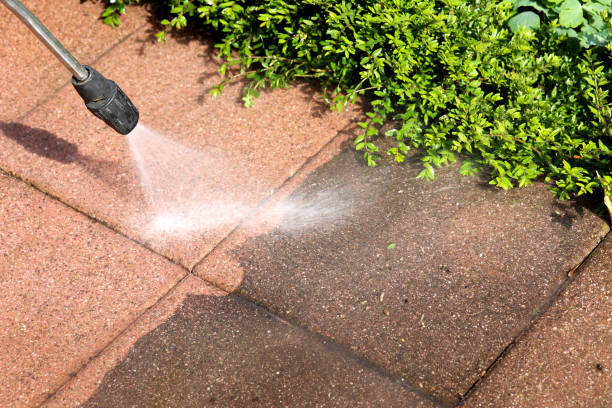 Best Exterior Home Cleaning  in Westover, AL